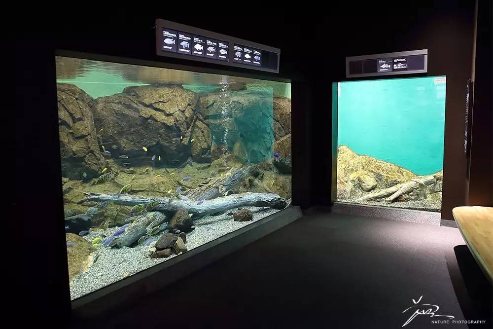 暑期日本之旅,暑假日本旅游攻略