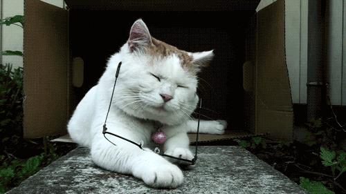 「推荐」告别近视之“绝世秘籍”