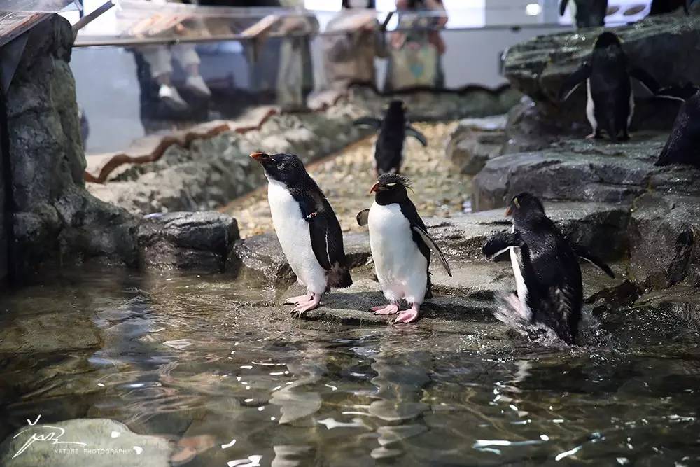 暑期日本之旅,暑假日本旅游攻略