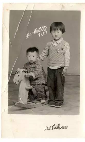 相机的第一组照片,相机里的第一只猫