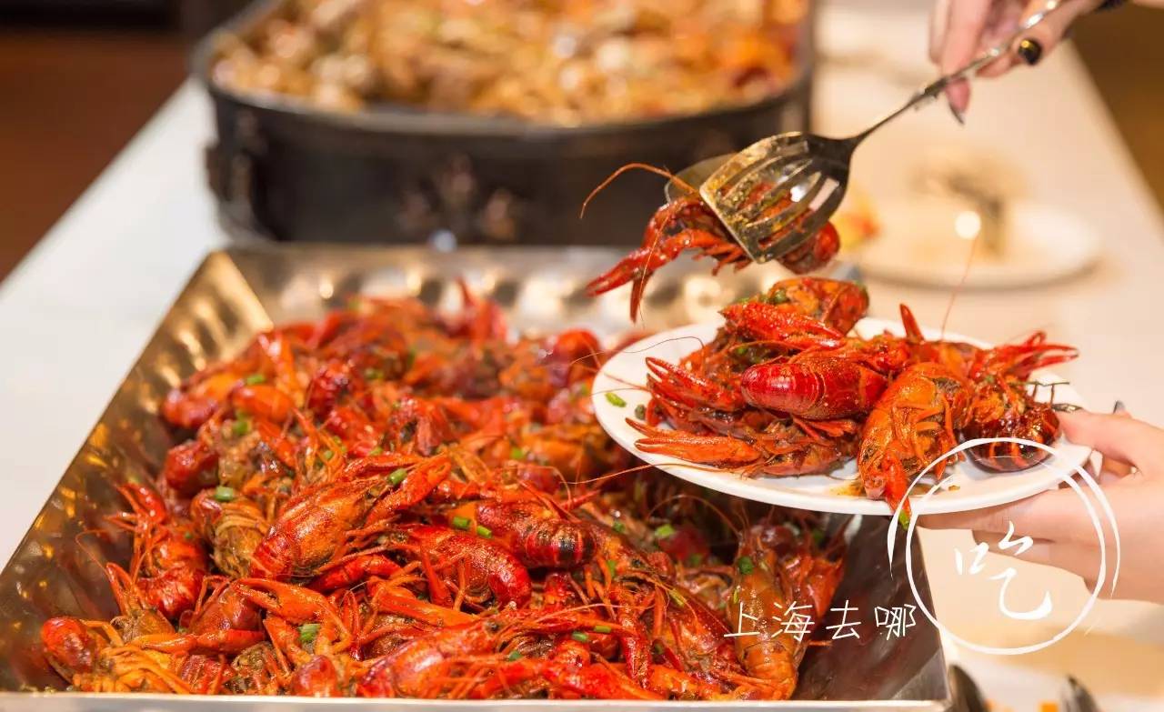 今天龙之梦有什么新闻,明天上海虹口龙之梦会开吗