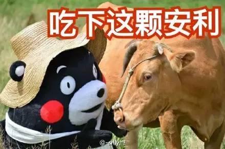 杨宗纬演唱会2020年,杨宗纬最近有演唱会吗