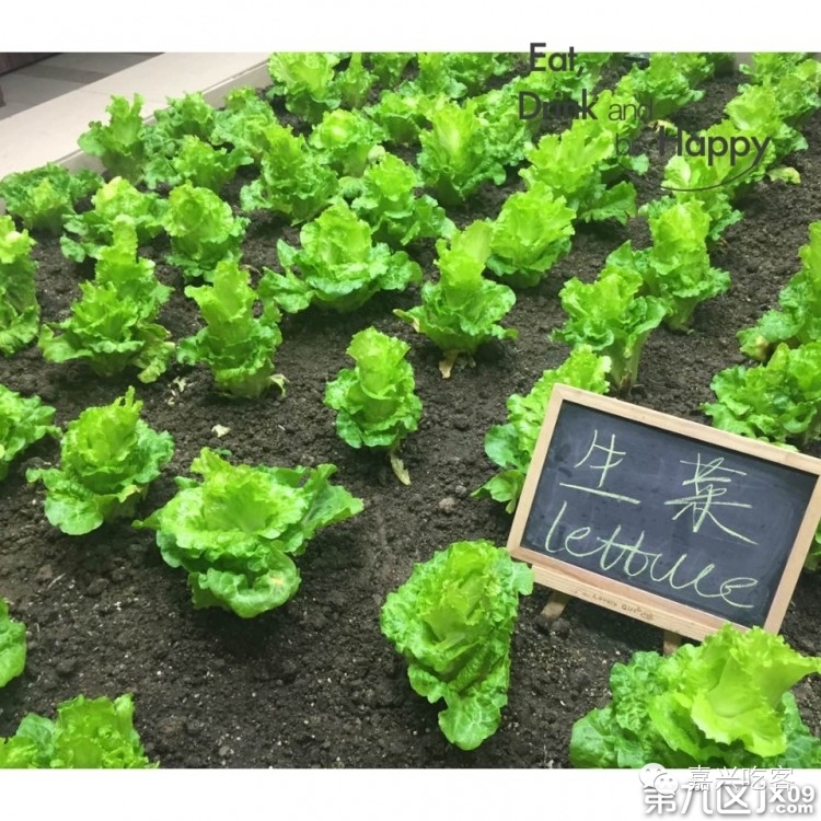 粗去浪|为了推荐好吃的咖喱和零食，本宝宝码字好辛苦！