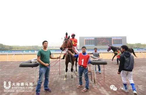 武汉赛马比赛时间表,2017全国速度赛马公开赛直播