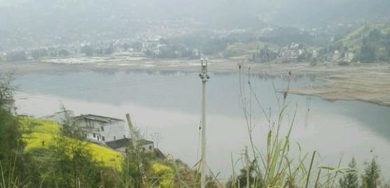 中华草龟和野生草龟的区别,草龟跟中华草龟有什么区别