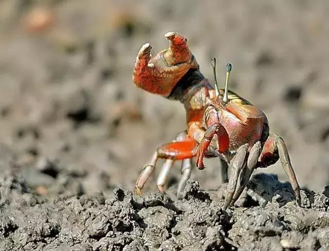 10个适合情侣的目的地，每一个都值得跟他好好走一走