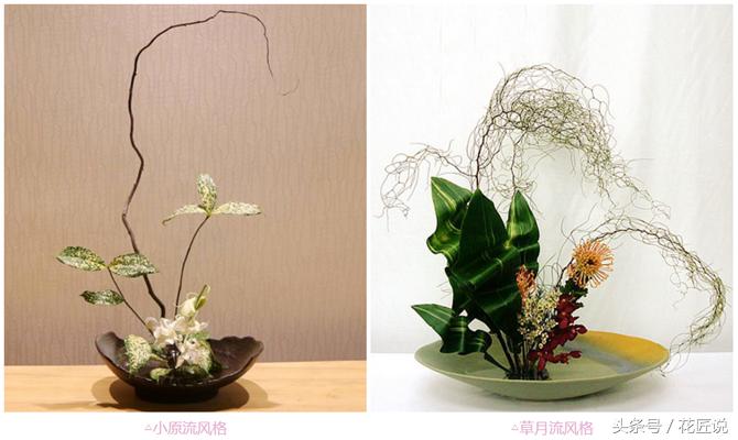 花艺插花花道有哪些区别,插花的几种基本造型花艺