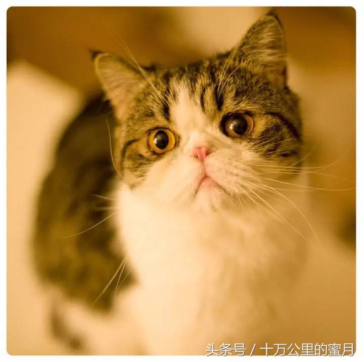 旅行路线产品经理,产品经理怎么赚钱