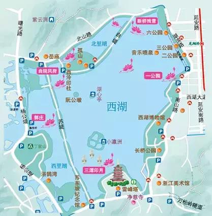 OMG！睡莲居然不是莲，今天才知道！