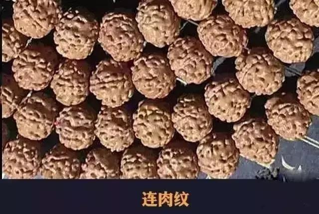 目前最火的小金刚,小金刚什么纹路值得拥有