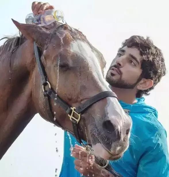 最帅迪拜王子哈曼丹,哈曼丹和威廉王子