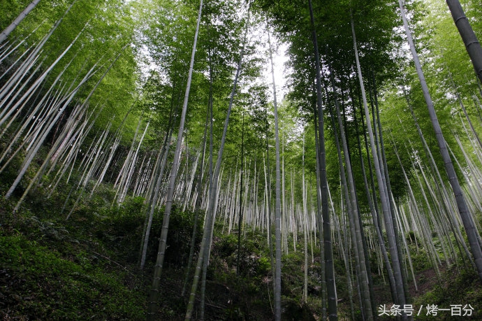 南平宝山旅游景区,福建南平市旅游景点大全