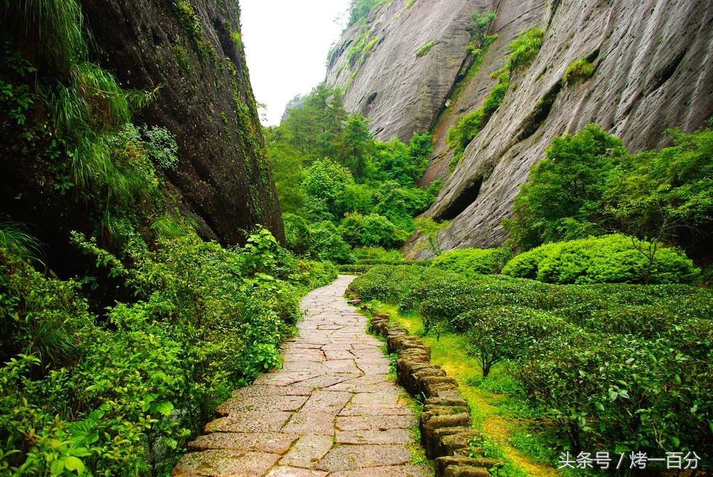 南平宝山旅游景区,福建南平市旅游景点大全