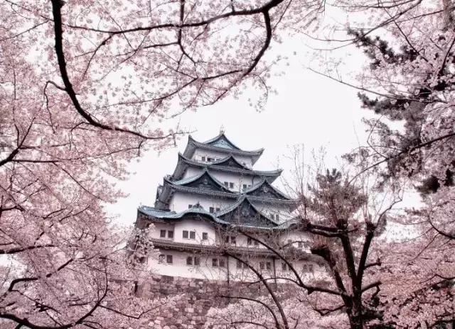 名古屋鳗鱼三吃优惠,名古屋刺身攻略