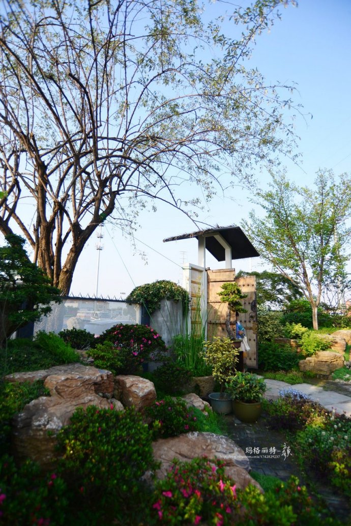 鎷滆涓滅鑽夊爞,鑺卞洯鎷滆