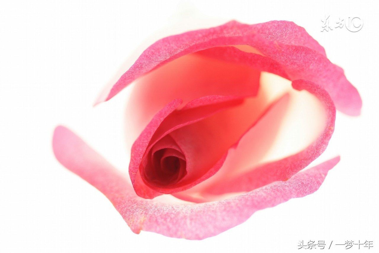 日本真人超级变态电影介绍由于画面恐怖所以没有上传电影本身图片请自行搜索