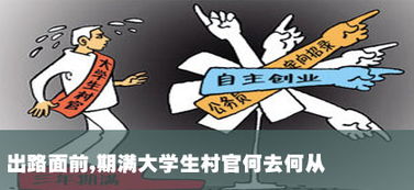 大学生村官有什么前途和待遇,大学生村官的待遇有哪些