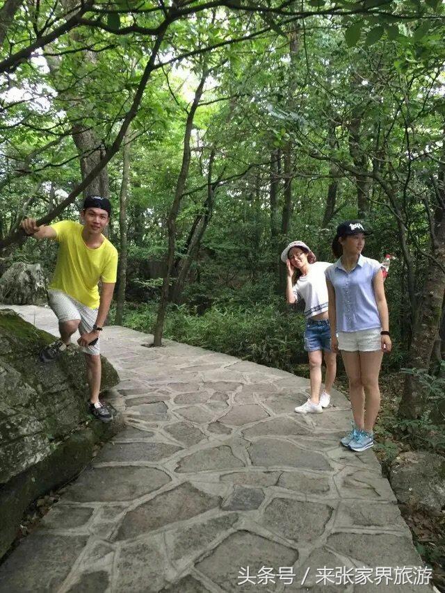 张家界旅游攻略天门山二日游费用,张家界大峡谷玻璃桥自由行