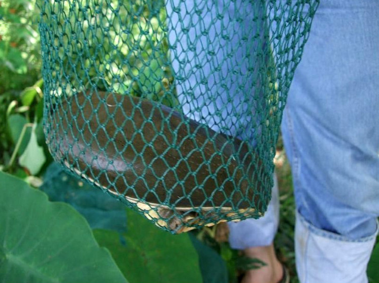 捕鱼技巧矿泉水瓶,爸爸捕鱼记