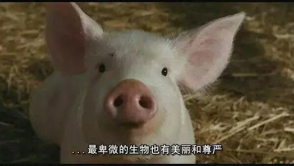 几十块钱一套的护肤品是真的吗,几百块一套的护肤品有什么推荐