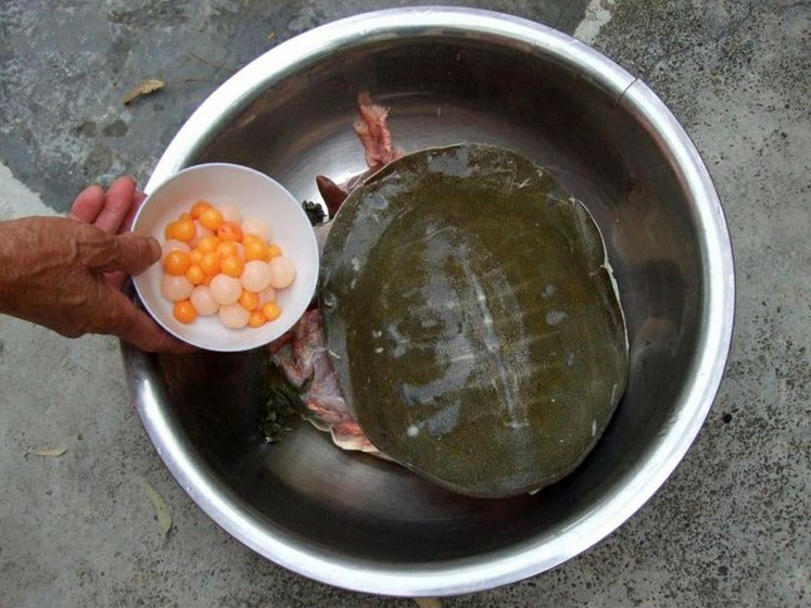 捕鱼技巧矿泉水瓶,爸爸捕鱼记