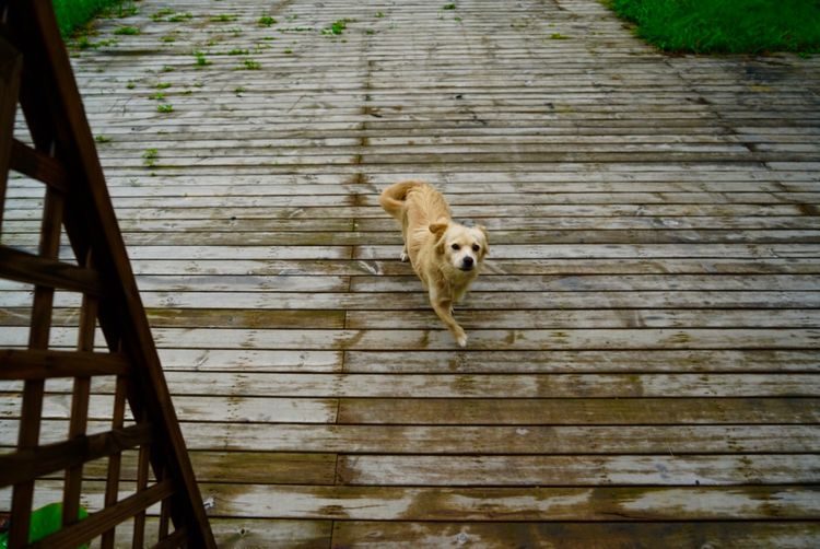 三八一日游温州最佳去处,温州三八游玩