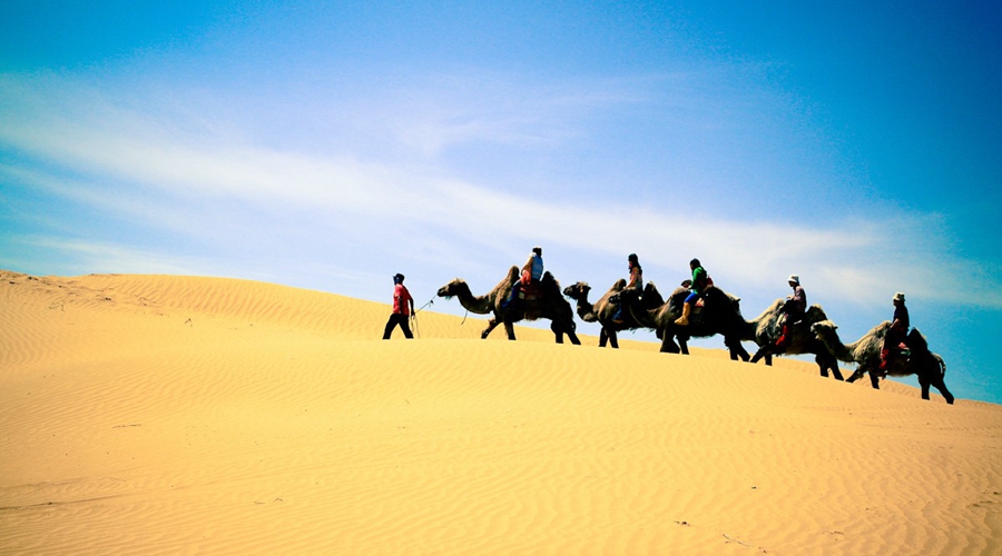 骆驼配送最后一公里拿下80%市场的它这样玩转中东物流