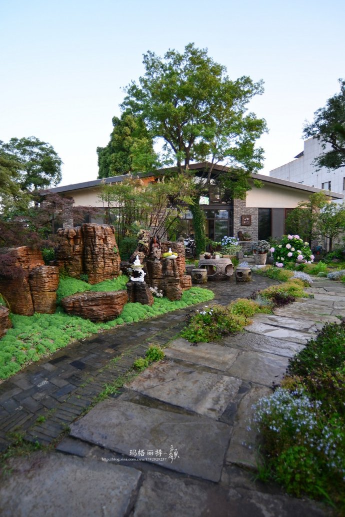 鎷滆涓滅鑽夊爞,鑺卞洯鎷滆