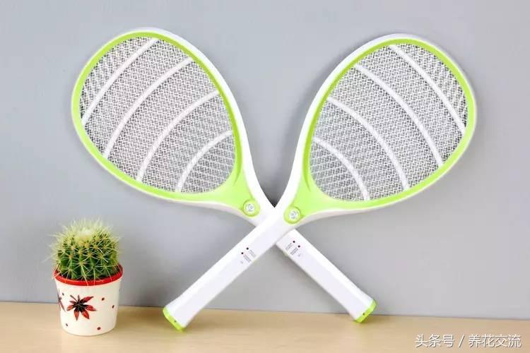 花卉驱蚊虫最好的方法,盆栽花卉如何除虫