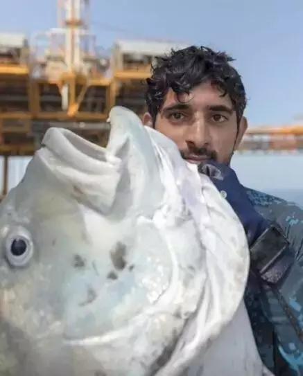 沙特最帅王子哈曼丹,阿联酋王子哈曼丹照片