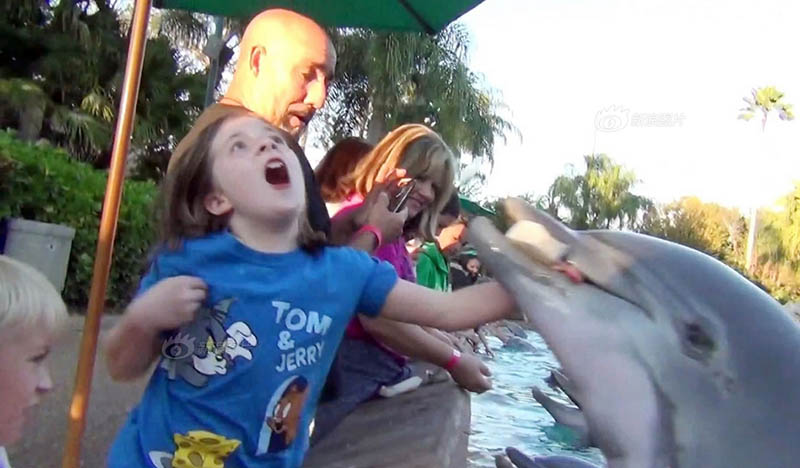 高音一共有几个度,很多人说高音等于唱功