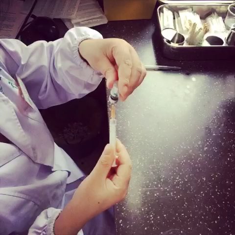 宝宝乙肝如何补救,妈妈乙肝小孩阻断成功率高吗