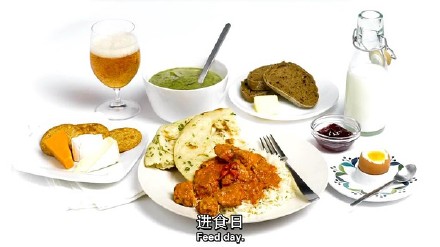 一起来看一下吧！流行欧美大陆，贝嫂、杨幂都在用的轻断食减肥法！