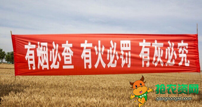 不让农民烧秸秆的视频,不让烧秸秆农民找哪个部门解决