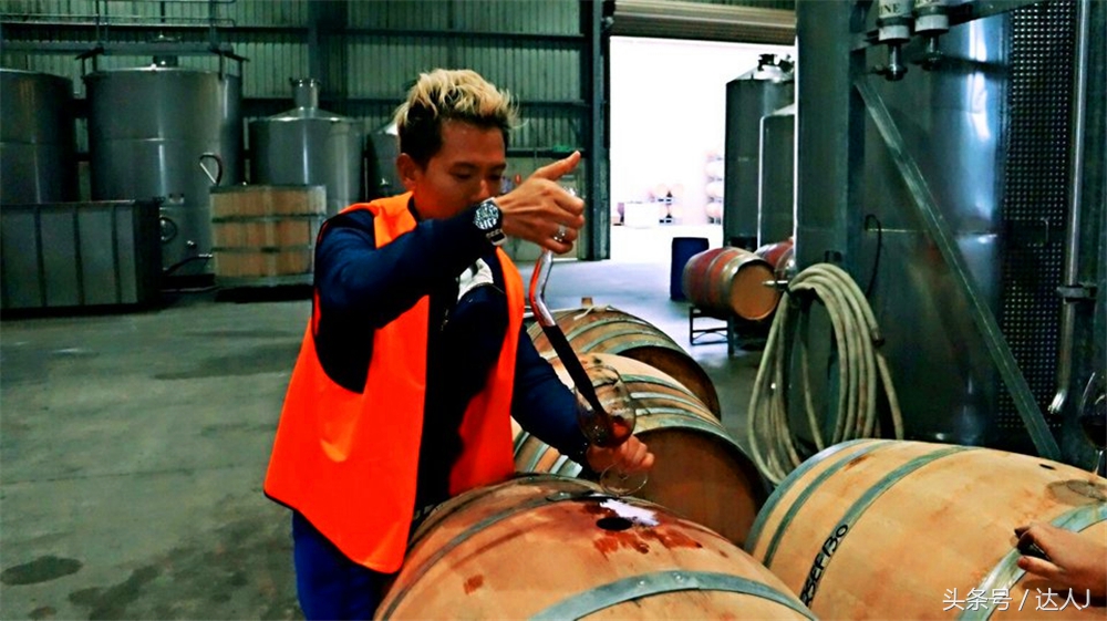 澳洲阿德莱德vs悉尼fc,阿德莱德对澳洲悉尼