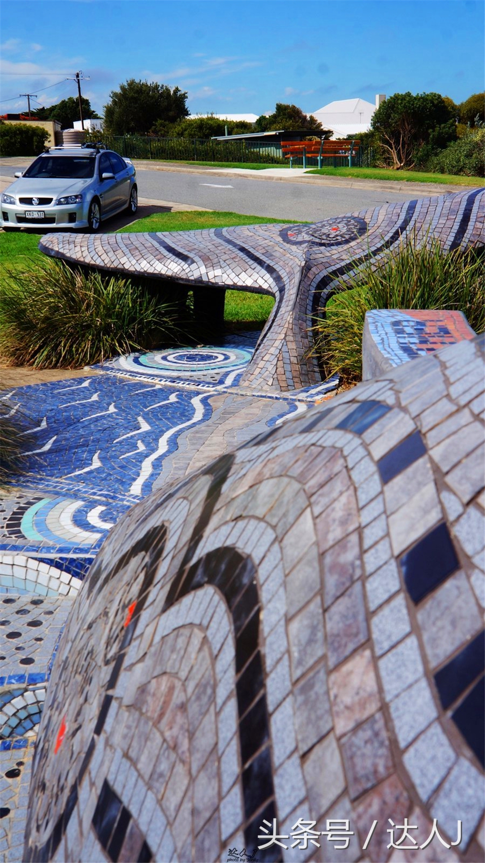 澳洲阿德莱德vs悉尼fc,阿德莱德对澳洲悉尼