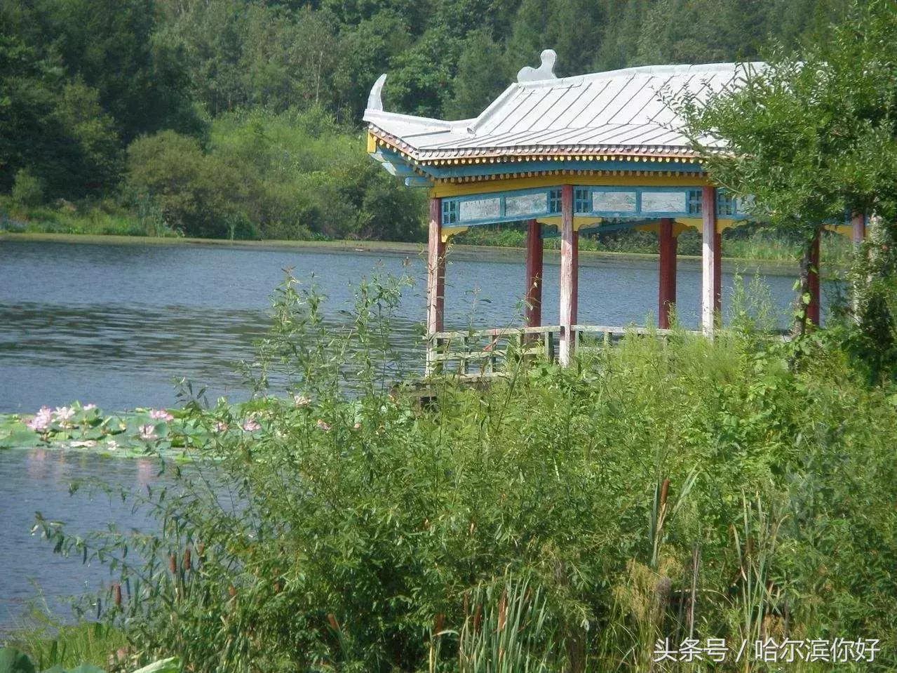 哈尔滨尚志未来5年规划,哈尔滨尚志最新规划