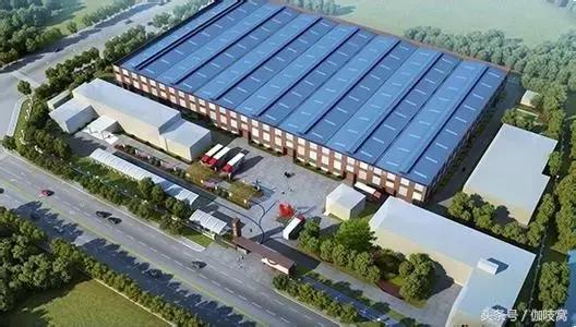 从a到z你选什么,从a到z的蜕变