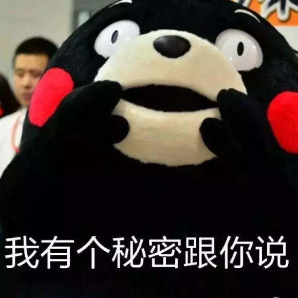 puma南坪店,puma新款广州店