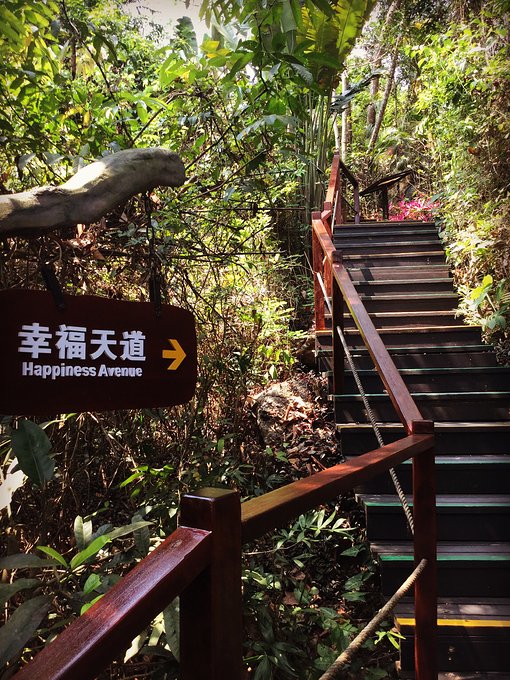 三亚呀诺达半天能玩完么,三亚旅游哪里吃海鲜最便宜