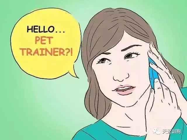 训练狗狗不让狗狗去咬人,怎样训练咬人的泰迪狗狗