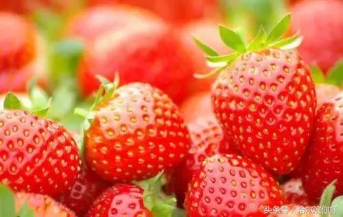 哈尔滨尚志要开挂了！如果三年后你还在尚志，将面对的竟是这些