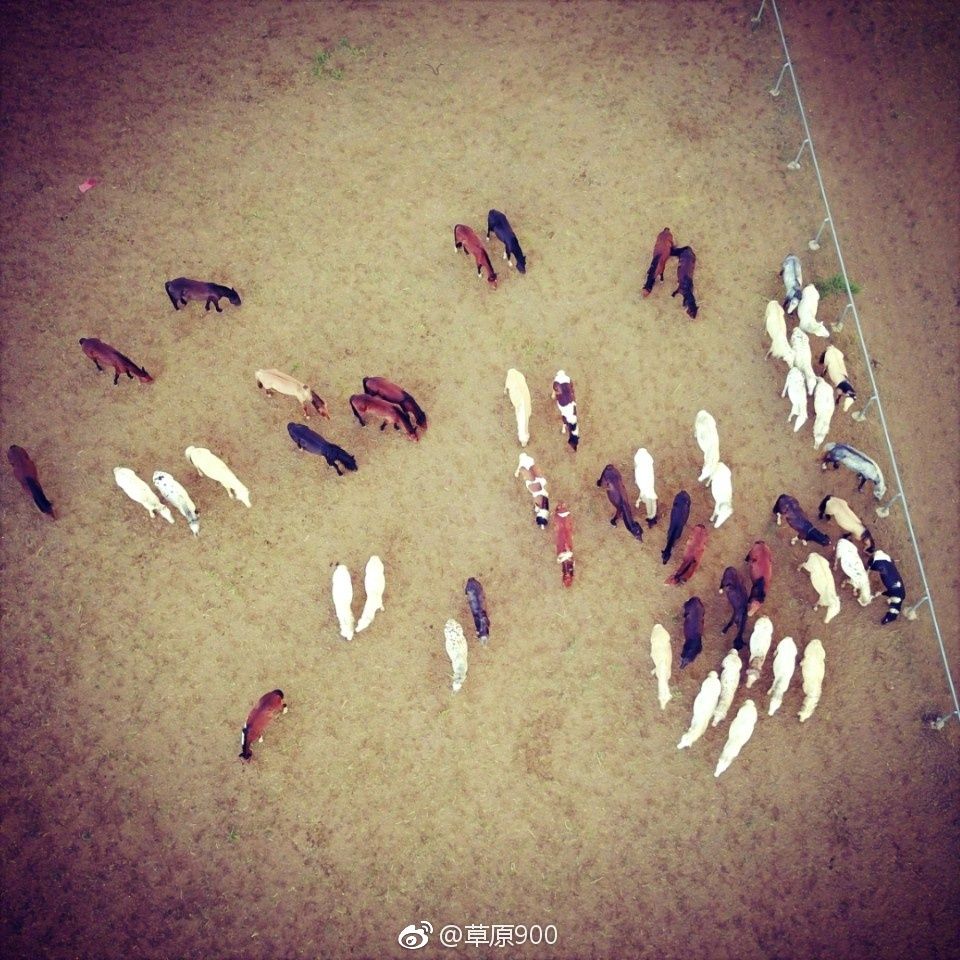 锡林郭勒草原星空,天堂草原锡林郭勒