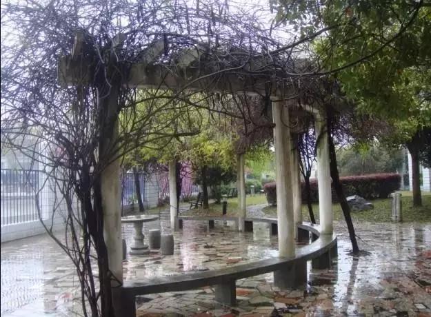 谢谢你高中征文,鲁迅中学初中