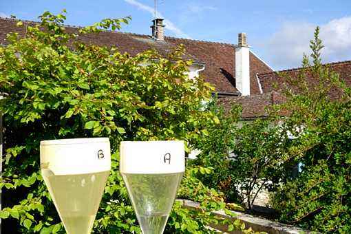 旅游养生模式,健康养生旅游方案