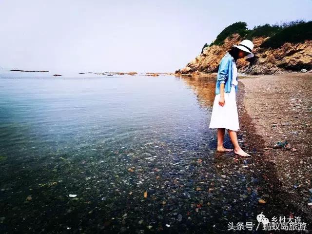 蚂蚁岛一日游,蚂蚁岛半日游