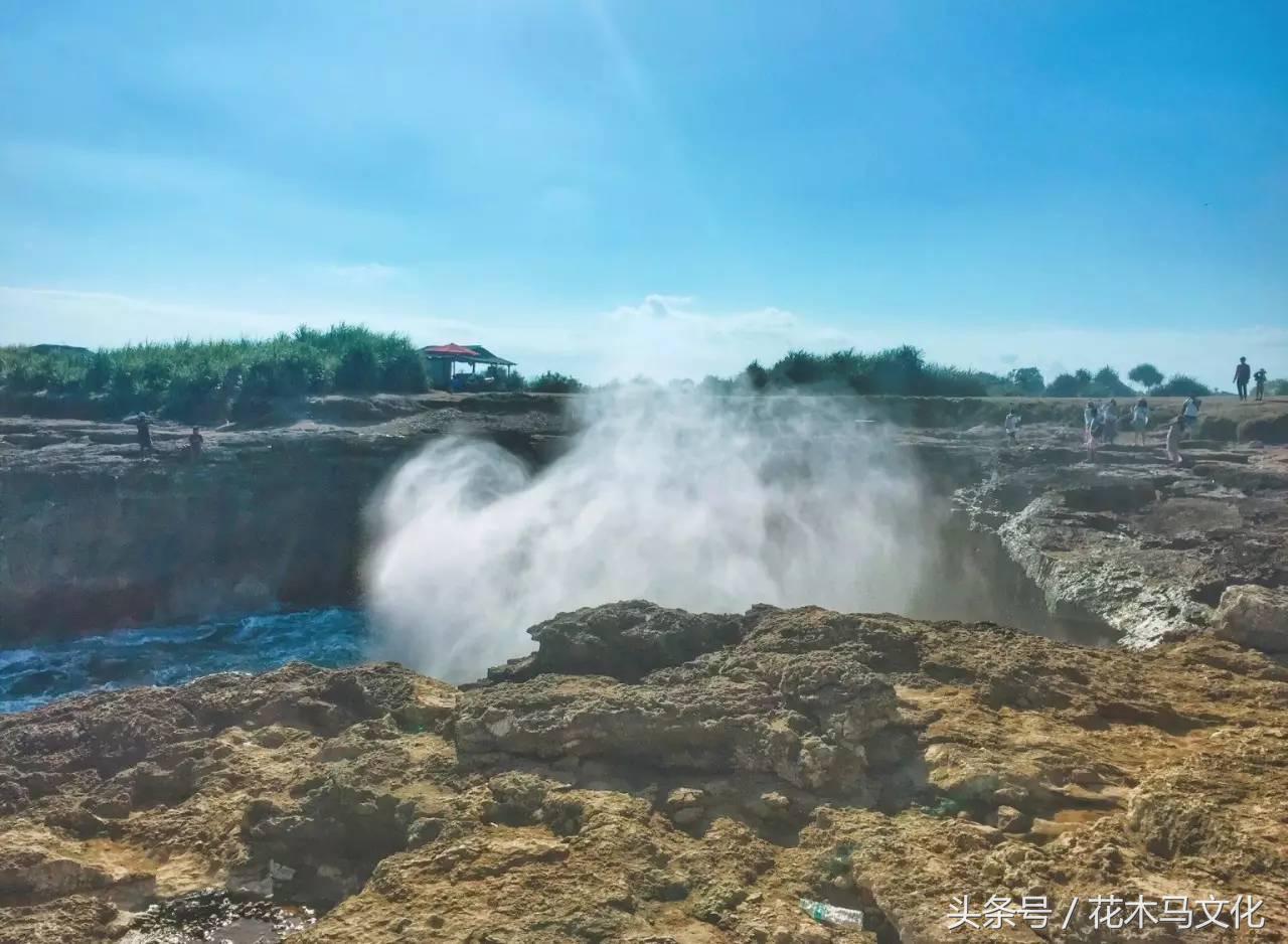 花木马亲子摄影,花木马