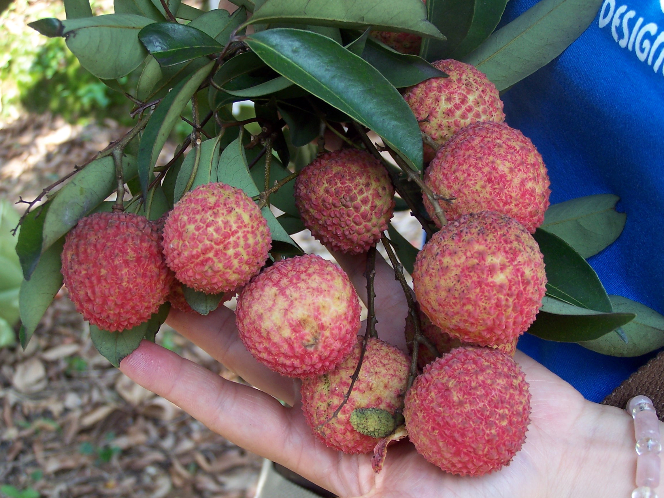 宝宝拉肚子吃白粥加点盐可以吗,妈妈受凉拉肚子