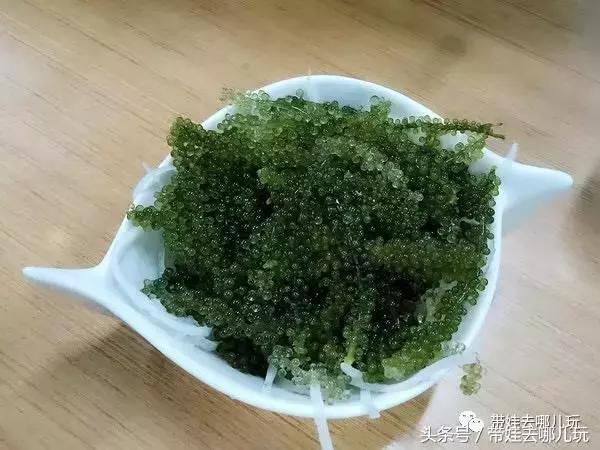 冲绳亲子游最强攻略,冲绳带娃旅游攻略