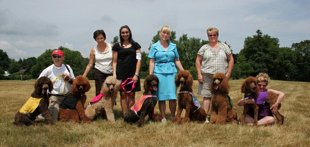 知宠是什么,知宠